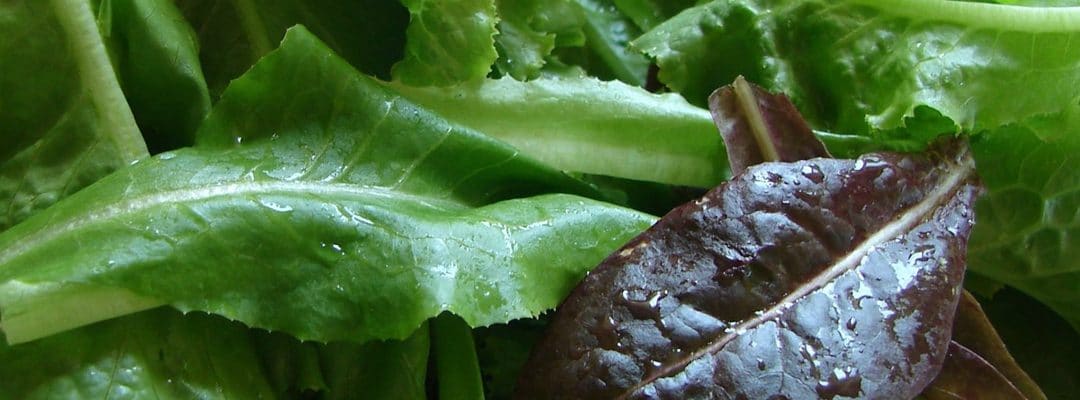 Produce For June 21, 2025
