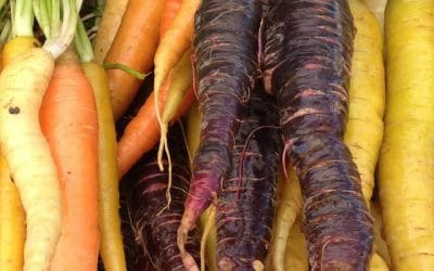 Produce for August 21 and 25, 2018