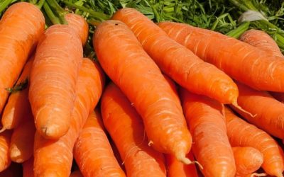 Produce for August 15 and 19, 2017
