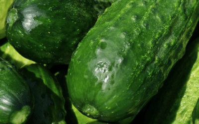 Produce for September 5 and 9, 2017