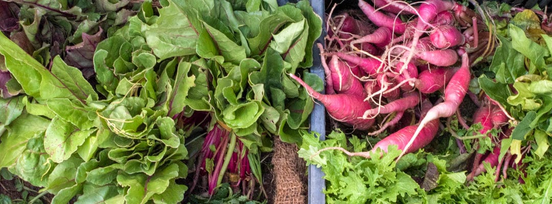 Produce for June 30, 2018