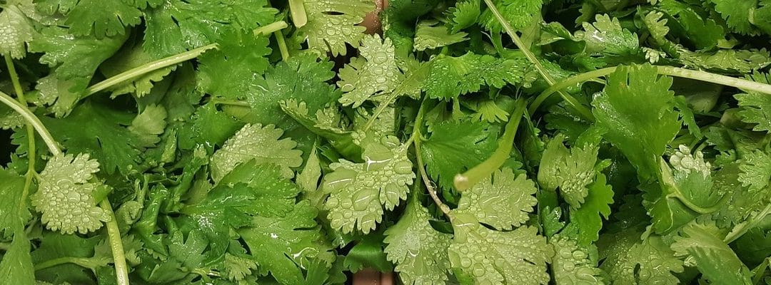 Produce For July 16 and 20, 2019