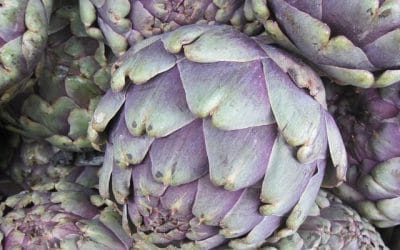 Produce for August 13 and 17, 2019
