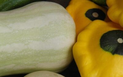 Produce For September 1 And 5, 2026